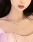 Fashion Gold Alloy Geometric Pearl Chain Flower Necklace
