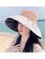 Fashion Pink Polyester Embroidery Stitching Grass Editing Solar Cap