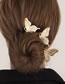 Fashion Set Alloy Geometric Butterfly Hair Comb Set