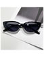 Fashion Shiny Black Gray Cat's Eye Frame Morroscopic