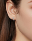 Fashion One Ginkgo Zirconia Earring (gold) Copper And Diamond Ginkgo Leaf Earrings (single)