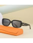 Fashion Tea Leopard Gray Flakes Pc Square Small Frame Sunglasses
