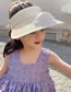 Fashion Fruit Fan Hat - Rose Red Polyester Printed Large Brim With Fan Empty Sun Hat (with Electronics)