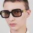 Fashion Transparent Gray Double Powder Square Small Frame Sunglasses