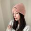 Fashion Beige Knitted Embroidered Beanie