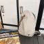 Fashion Grey Canvas Zipper Large Capacity Crossbody Backpack For Men