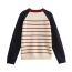 Fashion Navy Blue Cotton Jacquard Striped Crew Neck Long-sleeved Sweater