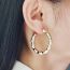 Fashion Electroplated Bamboo C-gold Acrylic Geometric C-shaped Earrings