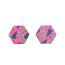 Fashion Rose Leopard Print Hexagon Acrylic Printed Hexagonal Stud Earrings
