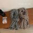 Fashion Black And White Faux Cashmere Houndstooth Fringed Scarf
