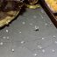 Fashion Bracelet 0132 Gypsophila Copper Inlaid Zirconium Five-pointed Star Pearl Bracelet