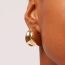 Fashion Gold Titanium Steel Geometric Irregular Earrings  Stainless Steel