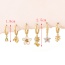 Fashion Gold Copper Inlaid Zircon Oil Drop Flower Pendant Earring Set Of 6 Pieces