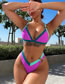 Fashion Purple Polyester Color Block Two-piece Swimsuit