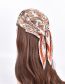 Fashion Brown Polyester Printed Pleated Scarf