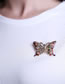 Fashion Butterfly Alloy Painted Oil Drip Butterfly Brooch
