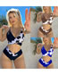 Fashion Navy Blue Nylon Cow Print Two-piece Swimsuit