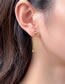 Fashion Steel Color Stainless Steel Fishbone Earrings