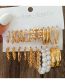 Fashion Twenty Two# Alloy Pearl Shell Conch Earring Set