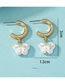 Fashion 3# Alloy Butterfly Pearl Hoop Earrings