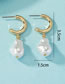 Fashion 3# Alloy Irregular Pearl Hoop Earrings