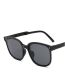 Fashion Solid White Gray Flakes Pc Large Frame Sunglasses