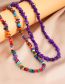 Fashion Colorful Irregular Shell Necklace Gravel Beaded Necklace
