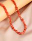 Fashion Orange Irregular Shell Necklace Gravel Beaded Necklace
