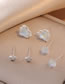 Fashion Silver Copper And Diamond Heart Pentagram Earring Set