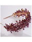 Fashion Red Crystal Braid Wide-brimmed Headband