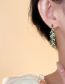 Fashion Color Alloy Diamond Earrings Earrings
