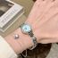 Fashion Flour Titanium Steel Diamond Round Dial Watch (with Battery)