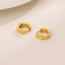 Fashion Golden Interval Stainless Steel Brushed Round Earrings