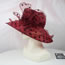 Fashion Claret Organza Floral Polka Dot Sun Hat With Wide Brim