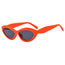Fashion Tea Douhua Pc Cat Eye Sunglasses