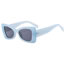 Fashion Blue Pc Large Frame Sunglasses