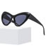 Fashion Transparent Purple Cat Eye Sunglasses