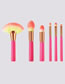 Fashion Pink 6pcs Pink Makeup Brush Set