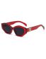 Fashion Red Frame All Gray C6 Pc Irregular Large Frame Metal Triumphal Arch Sunglasses