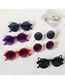 Fashion Purple Resin Cat Eye Sunglasses