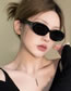 Fashion Leopard Tea Chips Pc Oval Sunglasses