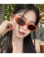 Fashion Gradient Gray Flakes Pc Oval Large Frame Sunglasses