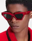 Fashion Leopard Print Triangle Cat Eye Sunglasses