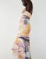Fashion Printing Printed Crinkled-tulle Dress