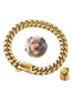 Fashion 14mm Gold 12 Inches/31cm Titanium Steel Geometric Chain Dog Chain
