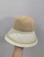 Fashion Black Straw Big Brim Sun Hat