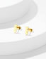 Fashion Gold-8 Titanium Steel Geometric Lightning Stud Earrings