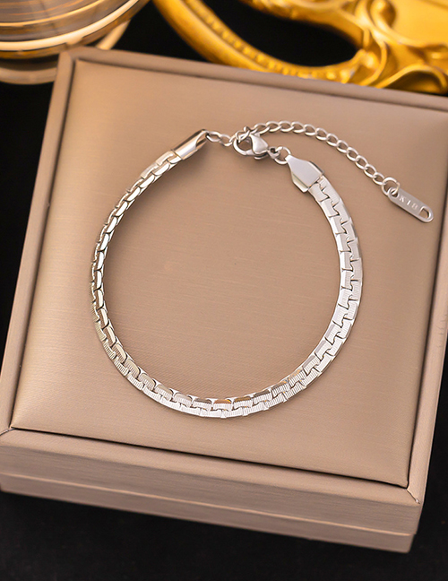 Fashion Necklace Steel Color Flat Snake Chain Titanium Geometric Chain Necklace