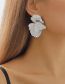 Fashion White K Alloy Ginkgo Leaf Stud Earrings