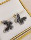Fashion Gold Metal Diamond Butterfly Stud Earrings